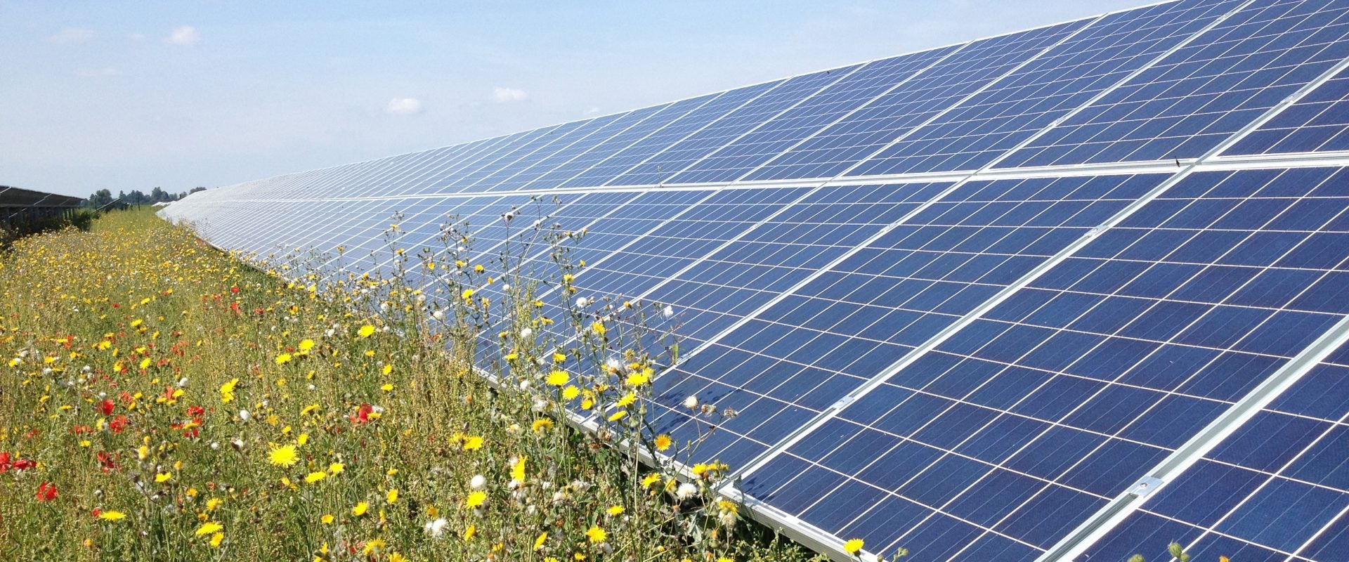 Lightsource BP secures approval to build 50MW solar plant in UK