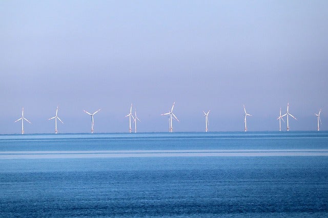 Wind farms currently degrading nature